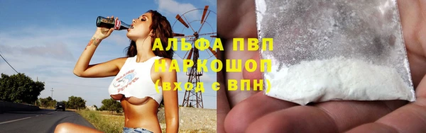 гашик Арсеньев