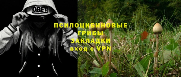 гашик Арсеньев