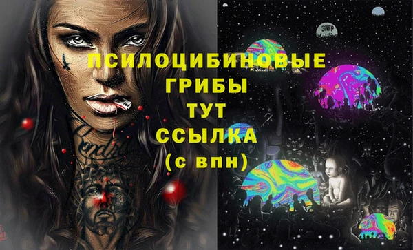 гашик Арсеньев