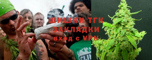 гашик Арсеньев
