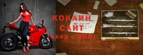 гашик Арсеньев