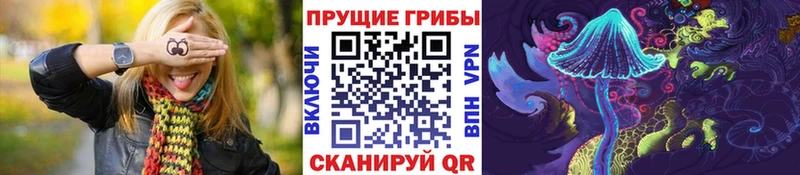 Купить закладки Междуреченск Псилоцибиновые грибы ЛСД